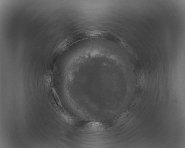 X0000056330427200509021634