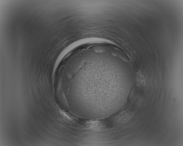 X0000056330428200509021634