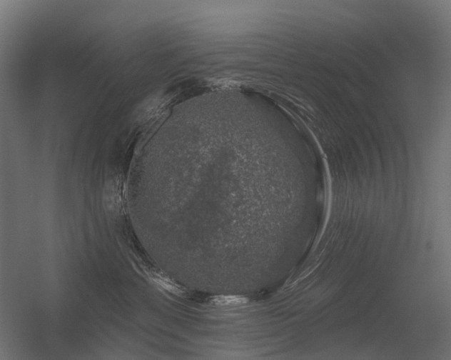 X0000056330429200509021634