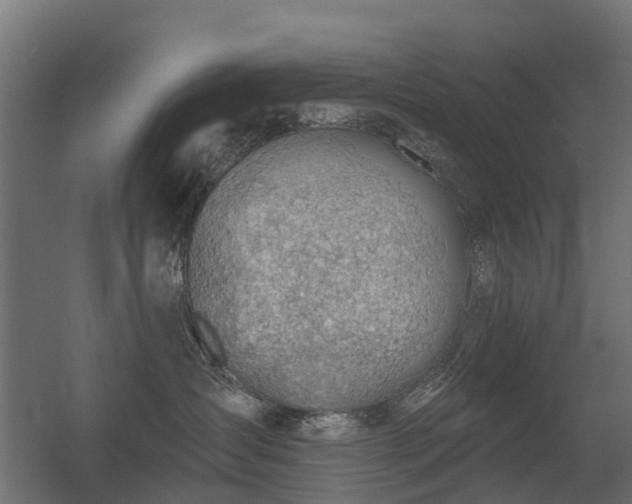 X0000056330431200509021634