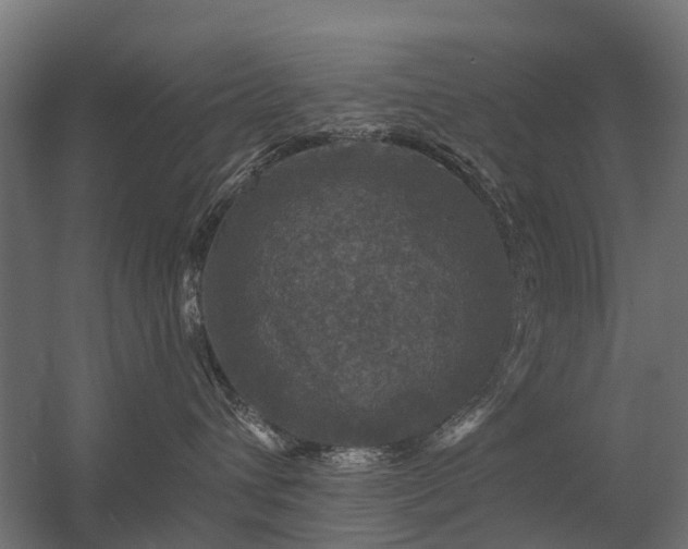 X0000056330432200509021634