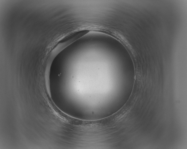 X0000056330433200509021633