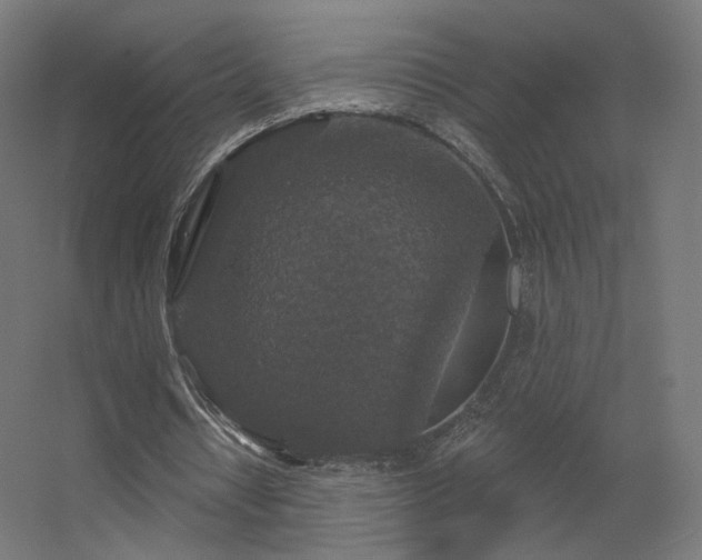 X0000056330434200509021633