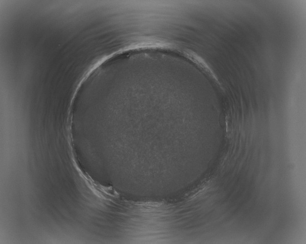 X0000056330436200509021633