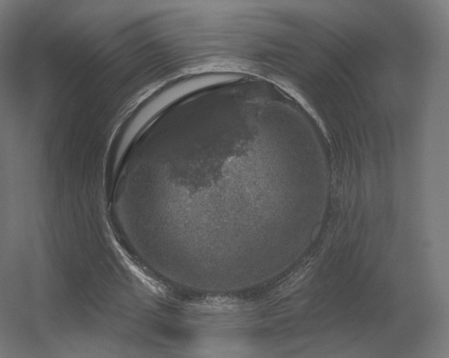 X0000056330437200509021633