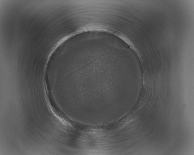 X0000056330438200509021633