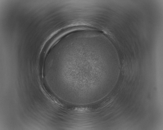 X0000056330440200509021633