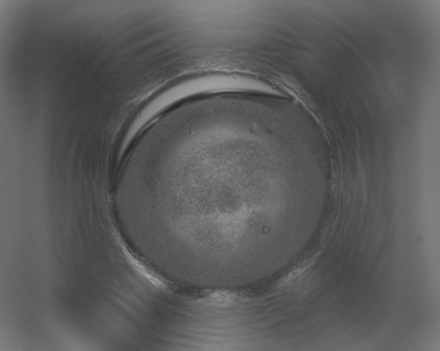 X0000056330441200509021633