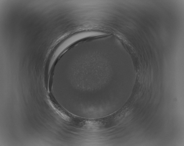 X0000056330442200509021633