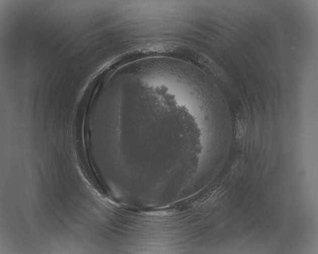 X0000056330444200509021633