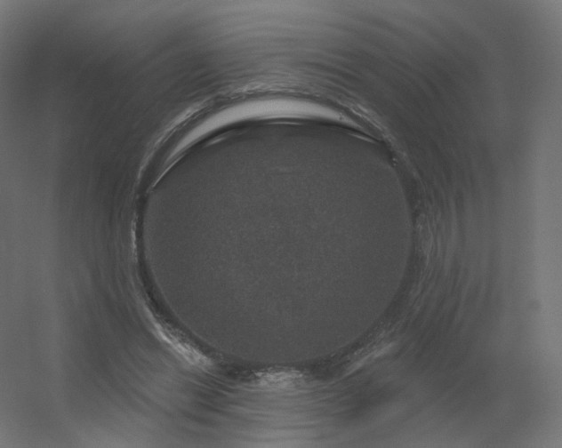 X0000056330446200509021633