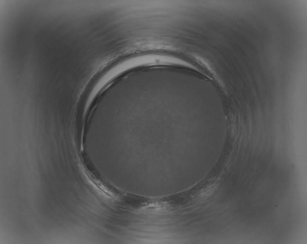 X0000056330447200509021633