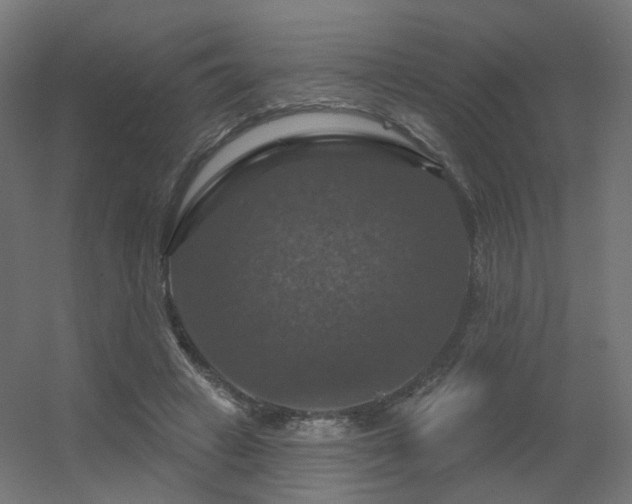 X0000056330449200509021634