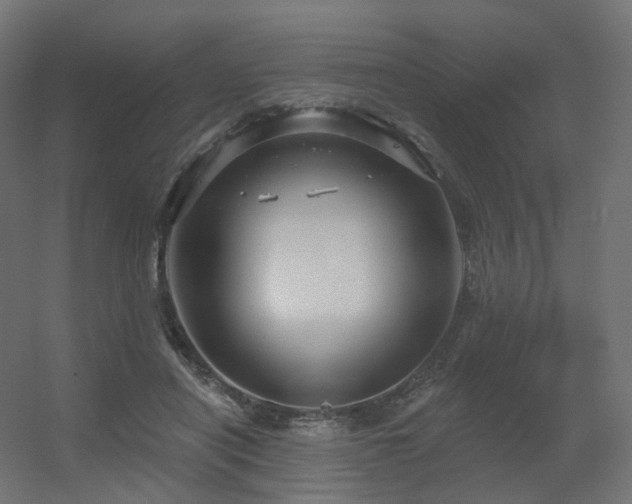 X0000056330454200509021634