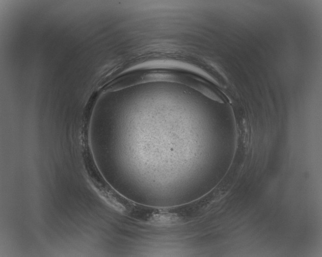 X0000056330455200509021634