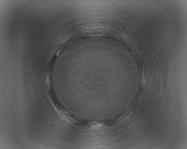 X0000056330456200509021634