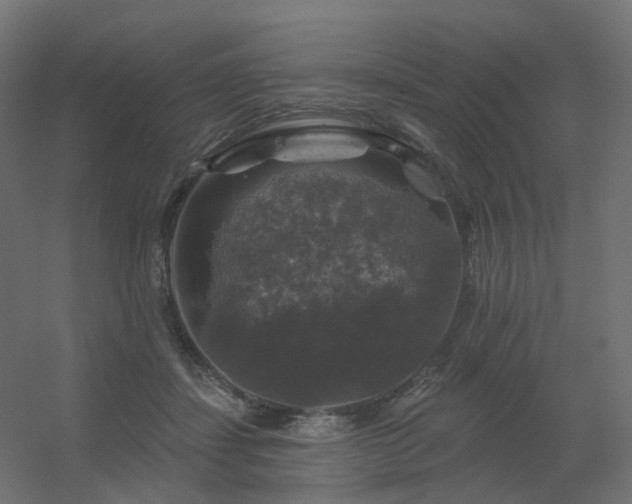 X0000056330459200509021634