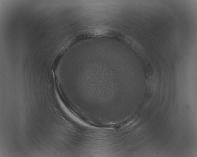 X0000056330462200509021634