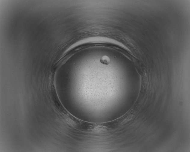 X0000056330463200509021634