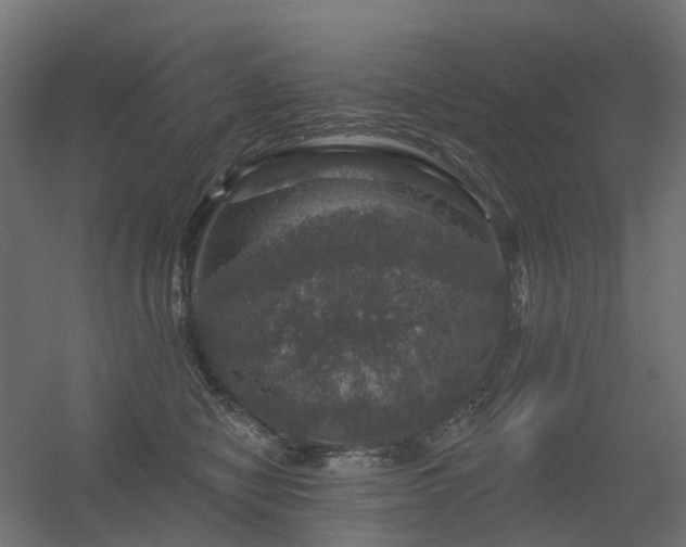 X0000056330470200509021634