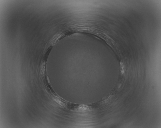 X0000056330475200509021634