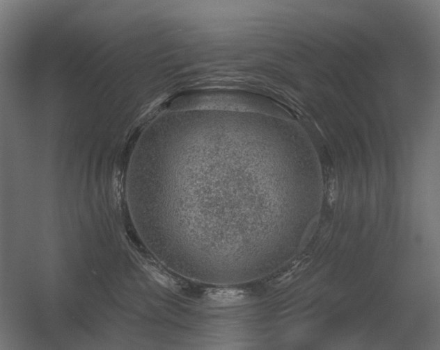 X0000056330476200509021634