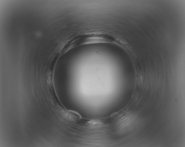 X0000056330477200509021634