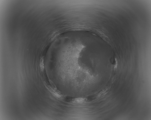 X0000056330479200509021634