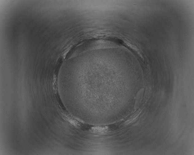 X0000056330480200509021634