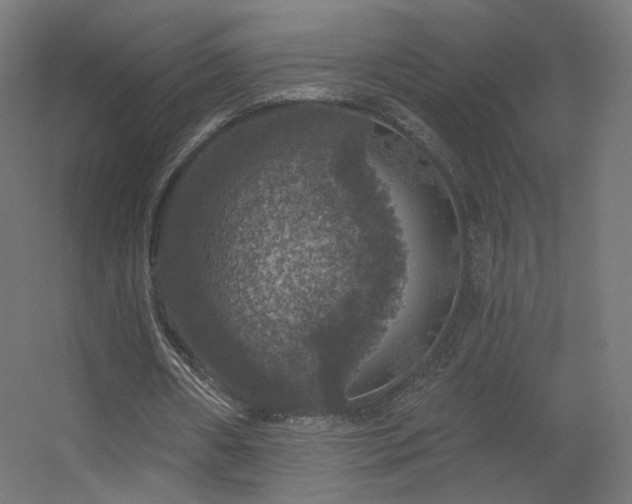 X0000056330482200509021633