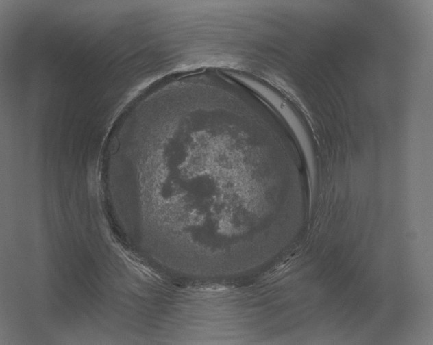 X0000056330483200509021633