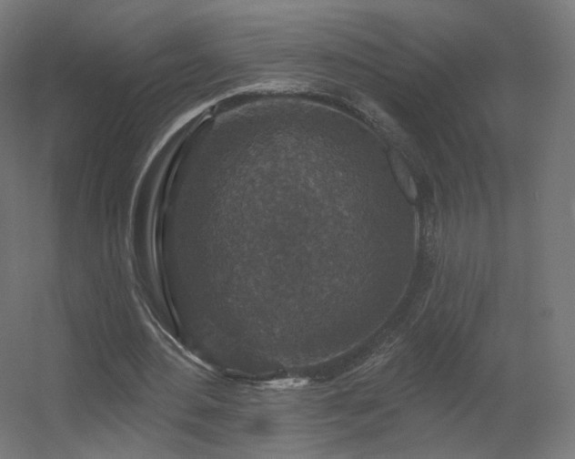 X0000056330484200509021633