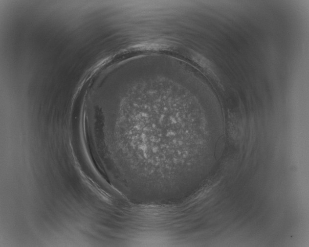 X0000056330486200509021633