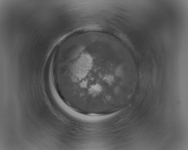 X0000056330487200509021633