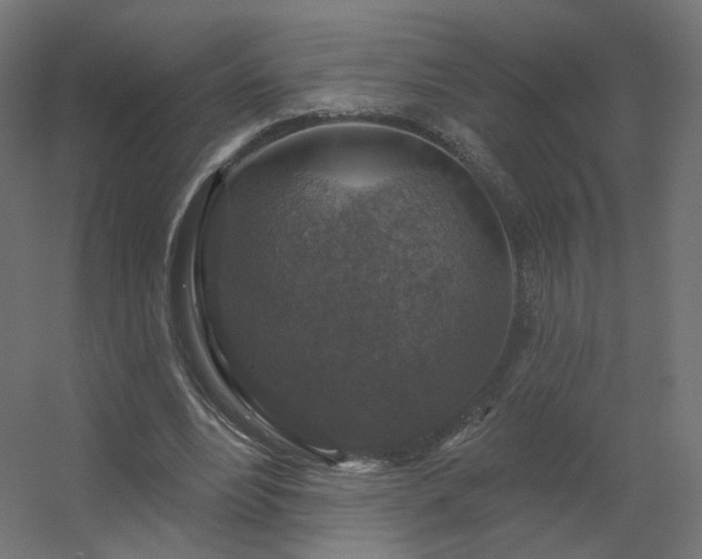 X0000056330488200509021633