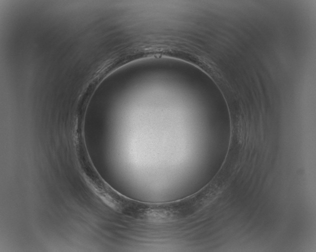 X0000056330490200509021633