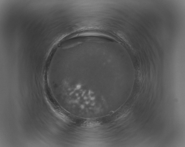 X0000056330491200509021633