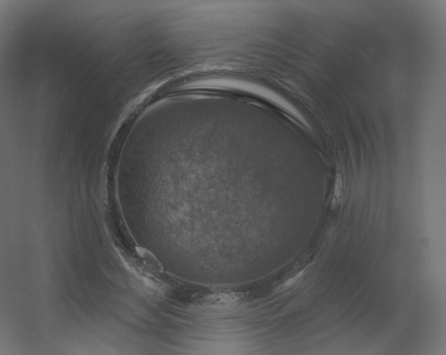 X0000056330492200509021633