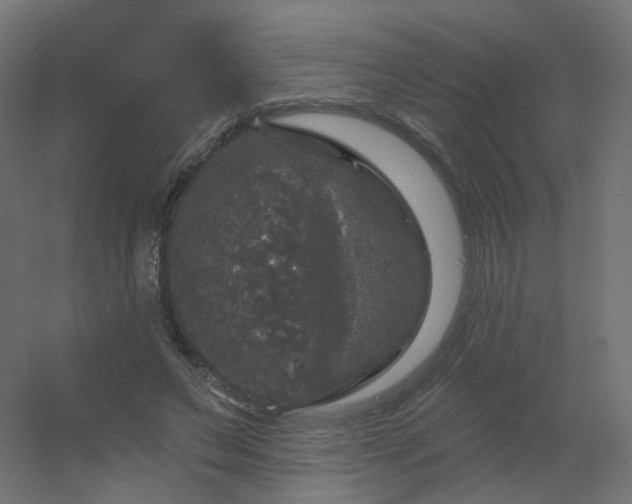 X0000056330495200509021633