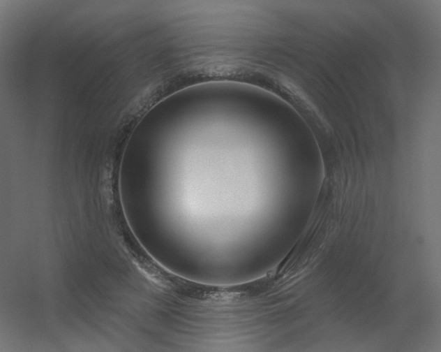 X0000056330497200509021633