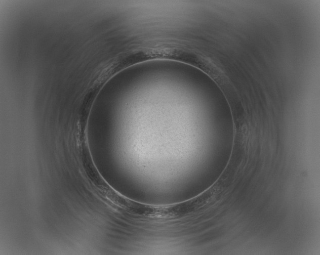 X0000056330498200509021633