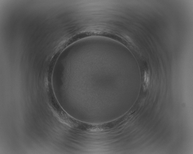 X0000056330500200509021633