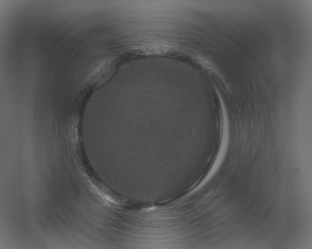 X0000056330501200509021633