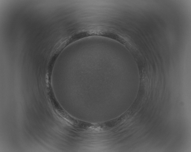 X0000056330502200509021633