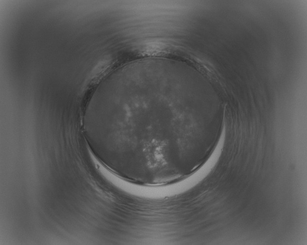 X0000056330503200509021633