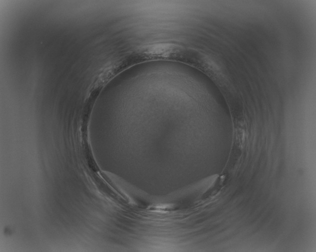 X0000056330504200509021633