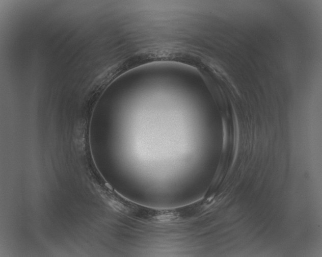 X0000056330505200509021633