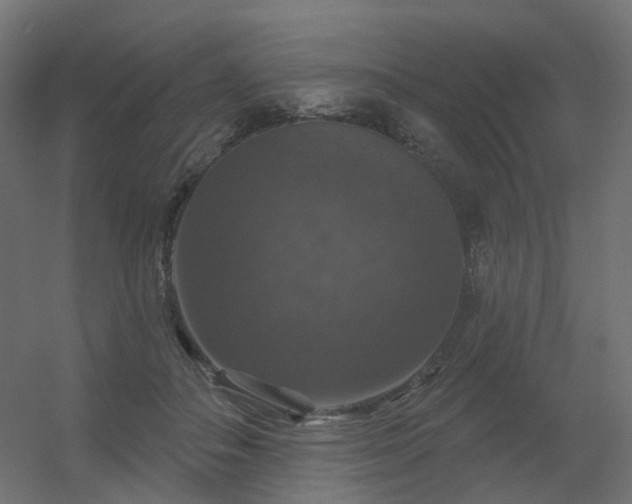 X0000056330506200509021633