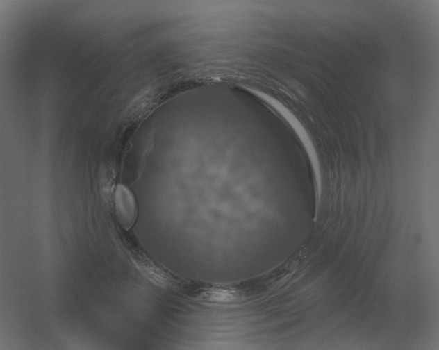 X0000056330507200509021633