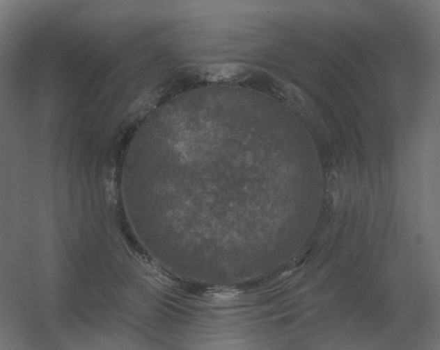 X0000056330510200509021633